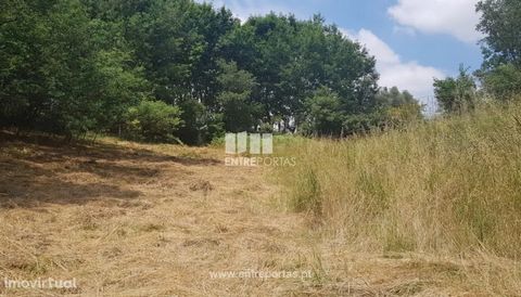 Land for sale, intended for construction with 2 085 m2 of area, good access and great sun exposure. Situated 5 minutes from the city centre of Marco de Canaveses. Sheep's Floodplain and Relieved, Marco de Canaveses. Ref.: MC08315 FEATURES: Land Area:...