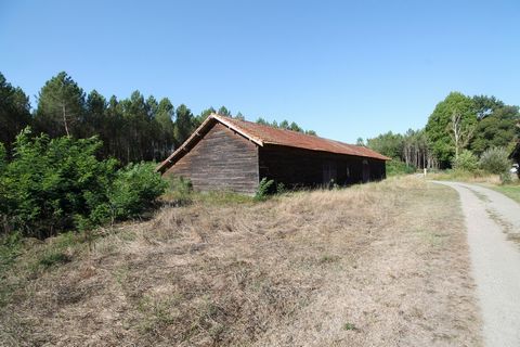 Land of 2994 m2 with large barn to rehabilitate