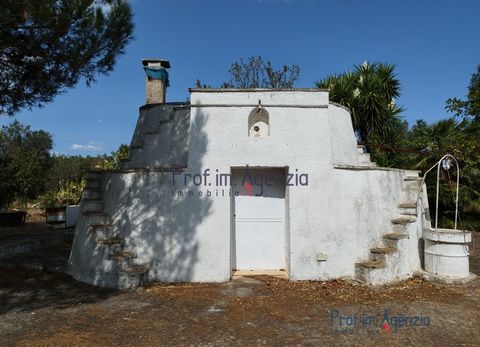 For sale lamia to renovate in the countryside of Carovigno, consisting of a single room. The property has a large external square, a warehouse and a wood-burning oven. It is possible to create an extension of approximately 70 m2, with veranda, pergol...