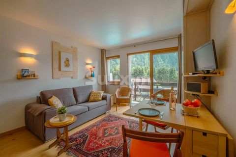 Ref 1800BP: Furnished apartment of approximately 27m2 renovated close to the ski lifts. In a quiet residence with swimming pool and condominium parking, this mountain view studio consists of an entrance, a beautiful bright living room with sleeping a...