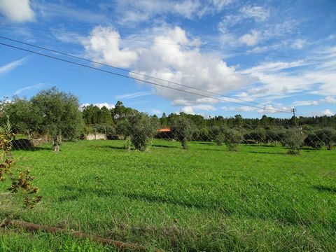 Rustic land with 3000m2 and a rural construction in schist stone of 40m2 with new roof. The building has two independent entrances. One division measuring 3.00m x 3.70m and the other measuring 3.00m x 3.80m. Situated in a quiet village surrounded by ...