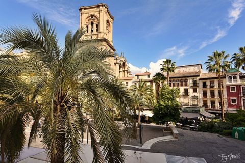 Four bedroom, two bathroom apartment in Granada centre with cathedral views. Private patio. A fantastic opportunity to acquire this spacious four bedroom first floor apartment overlooking Plaza Romanilla and the cathedral of Granada city. Apartment 1...