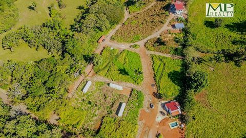 Diese Grundstücke befinden sich in Santa Marta, einem Ort, an dem Ruhe und Natur Sie überwältigen. Eine zunehmend begehrte Gegend, mit grundlegenden Dienstleistungen im Dorf selbst und etwa eine halbe Stunde von Hojancha entfernt, einer Stadt mit meh...