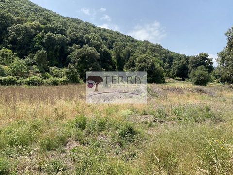 Terra Real Estate Solenzara, offers for sale, exclusively, in the town of Serra Di Fiumorbo in Acquacitosa, a plot of 1.350 m2 (Lot A). This flat land is very well exposed and will ensure you a beautiful sunshine. The different networks are close to ...