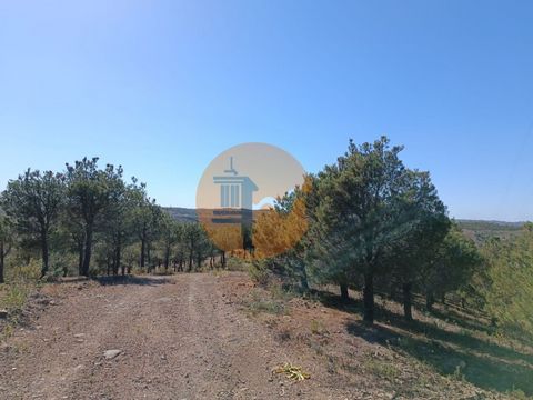 Terrain de 33.600 m2, près de Azinhal - Almada D'Ouro à Castro Marim - Algarve. Possibilité de construire un entrepôt. Terrain avec un bon accès. Beaucoup de pins. Vue dégagée sur les collines de l'Algarve. A seulement 15 minutes des meilleures plage...