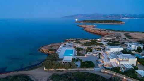 Welcome to Ailia Estate, a paradise of luxury villas set in 4300 m² of land and 4000 m² of Natura land, with breathtaking views of the Aegean Sea. Situated close to the popular Santa Maria beach, these fully furnished villas promise an unparalleled e...