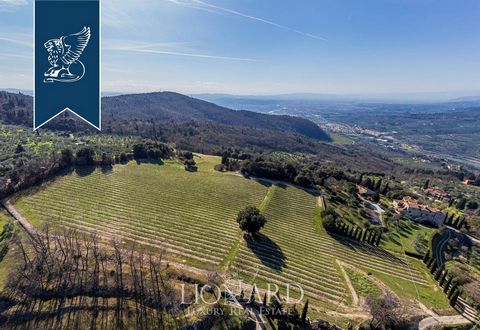 The elegant residence of the luxury class, surrounded by the greenery of Tuscan hills, near the historical center of Florence, is presented for sale. Luxurious real estate occupies 40 hectares, including vineyards, olive groves, forests and arable la...