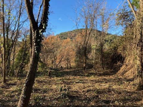 In the commune of Lantosque 06450 - hamlet of Camari - Two plots of non-buildable land in the nature of woods below the hamlet with pedestrian access by a mule track - The upper part with an area of 1093m2 is separated from the lower part of 667m2 by...