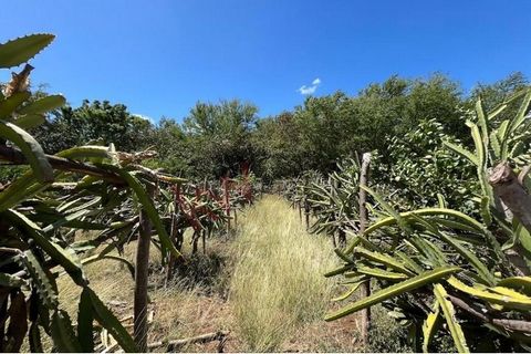This impressive farm offers a unique opportunity for those looking to invest in the thriving agricultural and livestock sector. Located in the picturesque area near Salinas Grandes with an ideal climate and abundant natural resources. Outstanding fea...