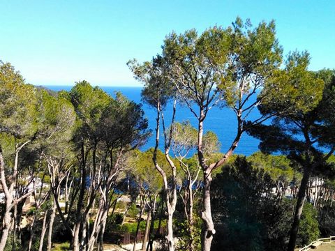 Charming apartment located in the heart of the Costa Brava, in Tamariu. From its fabulous terrace (10 m²) we can enjoy the majestic Mediterranean Sea that opens at its feet as well as the green of the mountains that surround it. Located in the Mon Re...