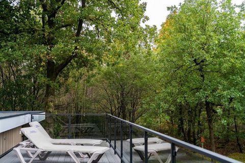 This luxurious six-person modern holiday home is located in a wooded holiday park. The holiday home has a spacious living room with a decorative fireplace. These rooms are designed with large windows, so you always have an optimal view of the beautif...