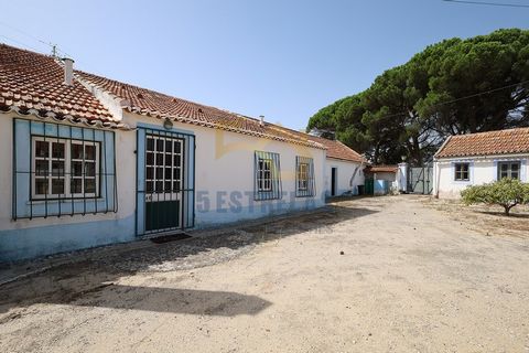 Quinta da Bela Vista - a farm with mixed land of 1,400 m2 of urban area and 31,280m2 of rustic land, 40 minutes from Lisbon! The Quinta integrates a rustic land with 3.1 hectares composed of a vast olive tree farm which is fenced. There is a ground f...