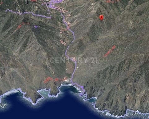 Unique opportunity! Rustic land for agricultural use is for sale in La Longuera, municipality of Vallehermoso, on the beautiful island of La Gomera. With an area of 193,458 m², this land offers ample space to develop agricultural or livestock project...