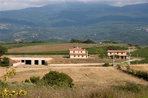 CASTEL DEL PIANO (GR) loc. Montenero d'Orcia: Farm of a total of about 8 hectares composed of: * 4.5 hectares of vineyard with D. O. G. C. Montecucco; * 3.5 hectares of arable land and parkland; * 500 sqm underground cellar in its unfinished state; *...