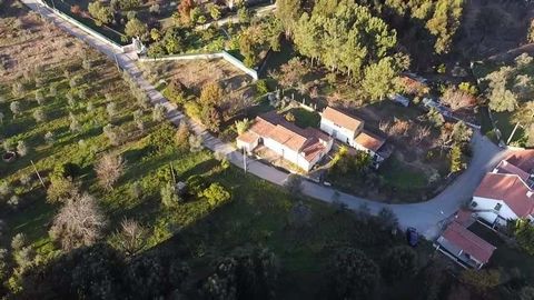 Farm in Dornes with 2720m2, with 520m2 of urban area and a house for recovery with 116m2 is a very interesting property. Dornes is a historic village in Portugal, known for its location on the edge of the Zêzere River and the Templar Tower of Dornes....