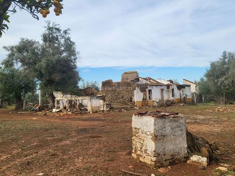 Are you looking for a peaceful getaway in Alentejo? This farm with olive grove, orchard and a 213 m2 ruin in Viana do Alentejo, could be your dream place! With a total area of 2.5 ha, the property is fenced and has easy access from the Alvito road. F...