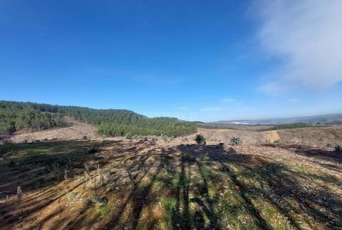 In the Fundão area, in Vale da Urra, territory with the designation of origin of the Fundão Cherry, this Land is available to you, which consists of the following: - Access by an agricultural road passable from Quintas da Torre; - Arable cultivation ...