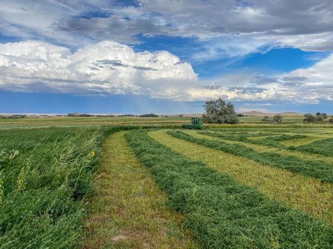 The Peterson Farm is a great combination of irrigated ground, pasture, and live water. This farm would make a great place to build a home for smaller all-around great place for livestock and good production. Irrigation is supplied through Midvale irr...