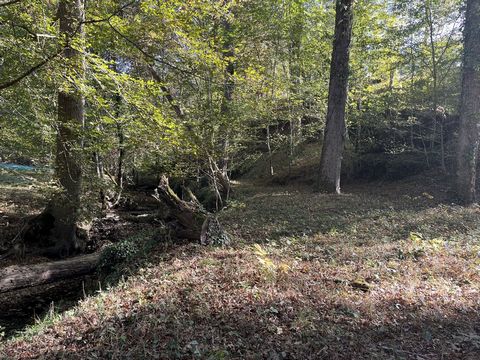 photo no. 9