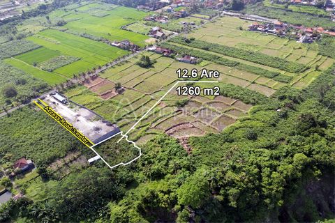 Invest in Paradise: Prime Freehold Land just minutes from Tegenungan Waterfall in Bali’s Gianyar – Kemenuh. Price at IDR 205,000,000/are Total Price for 1,260 sqm : IDR 2,583,000,000. Tucked away in Gianyar – Kemenuh’s peaceful and scenic area, an ex...