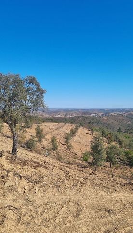 Terrain rustique de 11 hectares à Afeiteira à Santana da Serra. Le terrain comprend des chênes-lièges de différentes classes, ce qui le rend rentable année après année, et à côté du terrain il y a un barrage pour soutenir l'irrigation des terres envi...