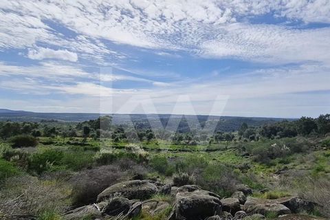 Land all walled with about 29,000m2 of pure beauty, in the south area of Lagar Maria Martins Aldeia de Monsanto near the place Afonso Eanes with tar road to here and the property at 400m on beaten earth with 2 entrances and access to all land. Invest...