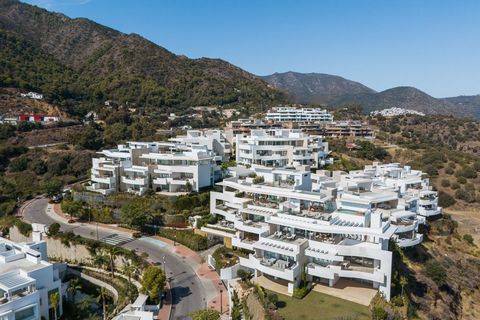 Penthouse Duplex for Sale in Palo Alto, Ojen This exclusive 3-bedroom, 2-level penthouse for sale is located in the new gated residential complex of Palo Alto, Ojen, just a few kilometers north of Marbella. The high-end eco-development offers the mos...