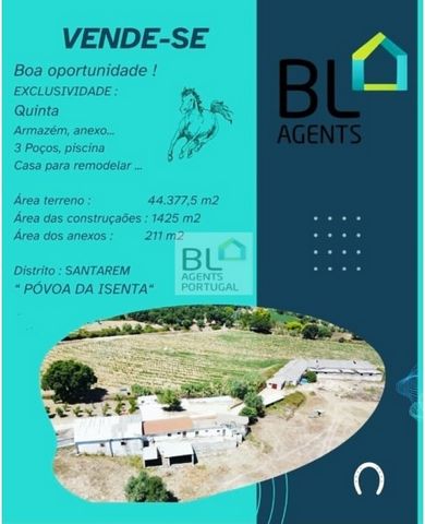 Exclusive! °Quinta da Palmeira, Housing to totally remodel and pavilion, Intended for warehouse and industrial activity, Ideal for animal breeding activities, horses, etc... Pear, apple, orange orchards Arable culture, Olive trees, mint. Fig trees an...