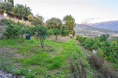 Suelo rústico en Sóller. Este solar rústico tiene una superficie de unos 3.000m2 aproximadamente y tiene vistas a la montaña. El solar son 3 marjades en pendiente. El precioso pueblo de Sóller está situado en medio de un ‘valle de naranjas’, conocido...