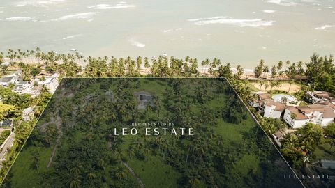 Beachfront land for sale on Las Ballenas beach in Las Terrenas. Discover a unique investment opportunity in paradise! We present a spectacular 71,000 m2 lot located on the coveted Playa Las Ballenas, in Las Terrenas. With 185 linear meters of private...