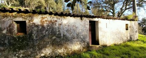 Rustic single storey house, with 2 bedrooms, living room, kitchen and storage room on a plot of land measuring 16,040 m2. With an area of ​​85 m2, mine water with tank and electricity. Terraced vegetable garden, cork oaks and eucalyptus trees. This l...