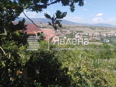 Yavlena office Blagoevgrad offers to your attention a vineyard of 600 sq.m with a building of 32 sq.m. in the Pido area in the land of the village of Riltsi. The imota represents two properties of 300 sq. m. The vineyard has not been cultivated for 3...