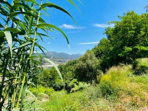 LETZTES LOS!! CARROS - LE BROC, in einer kleinen Wohnsiedlung, 10 Autominuten von den Gewerbegebieten Le Broc und Carros, 40 Minuten vom Flughafen und dem Zentrum von Nizza entfernt, verkauft ein 377 m2 großes, bewirtschaftetes Grundstück in dominant...