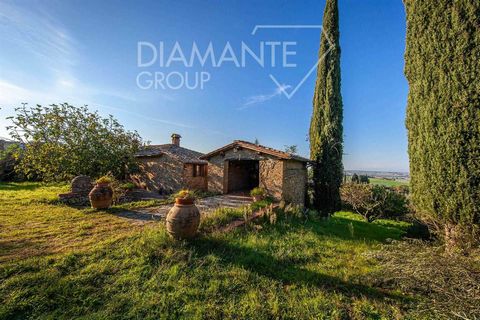 Paciano (PG): Bauernhaus mit privatem Garten, Grundstück mit Olivenhain und Anbau, bestehend aus: - Einem Steinhaus auf zwei Ebenen von etwa 140 qm, bestehend aus 4 Räumen, die als rustikaler Keller mit Bad und Lagerraum im Erdgeschoss sowie einer Wo...