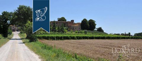 In un antico borgo medievale Toscano, nel cuore delle Crete Senesi, si trova in vendita questa struttura turistico-ricettiva della superficie di 1.180 mq, completata da una dependance di 35 mq ed una terrazza-giardino di 400 mq. L'immobile prest...