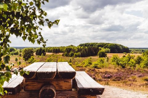 Deze accommodatie ligt op een vakantiepark. Er zijn meerdere accommodaties binnen dit type aanwezig. Wenst u meerdere accommodaties voor dezelfde periode te boeken? Neemt u dan contact met ons op via de chat. De comfortabele, vrijstaande chalets en b...