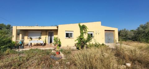 Rustic property of 8,638 m2 for sale in Galacho de Roquetes, with a house of 97m2 and a wooden shed of 27m, both to be rehabilitated. The house has a dining room, kitchen, 2 bedrooms, a full bathroom and a storage room. It has a fireplace. The finca ...