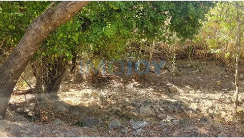 Rustic land with 2240m² and access by two roads, located on the limits of Manique de baixo, belonging to the Municipality of Sintra, 5 minutes from Cascais. It has a sanitation network, a nearby stream and trees. Imojoy Real Estate is a Real Estate M...