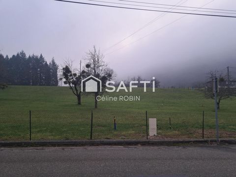 photo no. 3