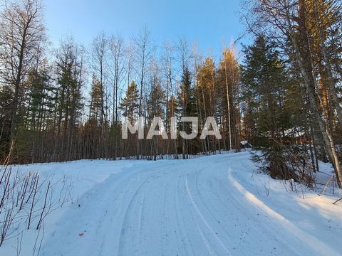 Leisure building plot in a peaceful location at Tahko! Close to the golf course, snowmobile route, ski trail, and SkiBus stop. Paved road to the plot. Tahko services and ski slopes are only about 5 km away. Building rights according to the zoning pla...