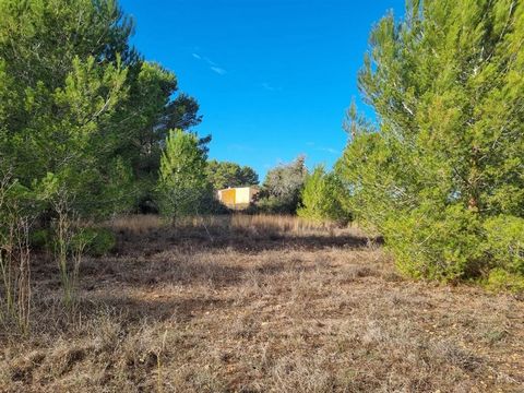 THREE building plots in Santa Gertrudis - excellent investment opportunity! This is the excellent opportunity to purchase THREE neighbouring building plots in Santa Gertrudis, one of the most exclusive residential areas of Ibiza. The three plots with...