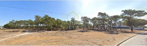 Property with Excellent Access and Privileged Location in Faro, Algarve Discover this rustic property of 28,400m² (2.8 hectares) located next to the Hospital Particular das Gambelas, in Faro, Algarve. This flat land is composed of woods, pine forest ...