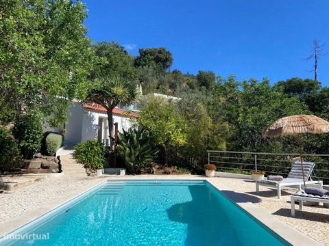 Gelijkvloerse villa T1 + bijgebouw omgebouwd tot een slaapkamer met badkamer, met zwembad, tuin en uitgestrekt land, in de bergen van Monchique met een prachtig panoramisch uitzicht op de bergen en de zuidkust van de Algarve. Wordt gemeubileerd verko...