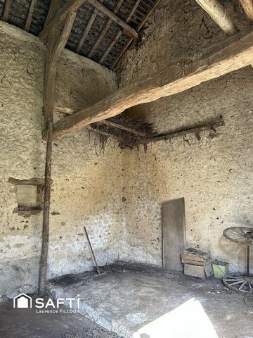 photo no. 3