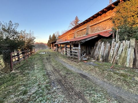 photo no. 1