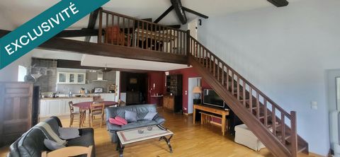 Appartement en Duplex - Hypercentre de VIENNE