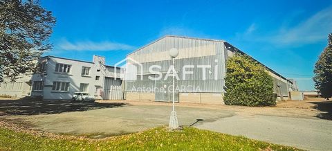 Locaux professionnels 12000m²