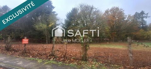 Terrain 2,5Ha dont 3000m² constructibles