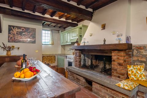 In het hart van Toscane, tussen de bekende kunst steden Siena, Florence en Arezzo ligt deze typische authentieke agriturismo met in totaal vijf appartementen. Fienile is een alleenstaand vakantie huis. De inrichting is typisch Toscaans en landelijk. ...