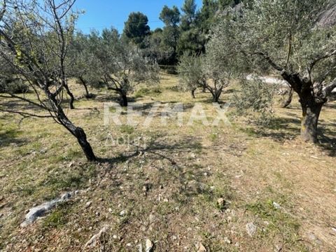 Sporades-Alonissos -: Available for sale in exclusive area Parcel of 4205 sq.m. in the area of ​​Paliohorafina Alonissos. The parcel is buildable. The property is a facade on the road. The location of the parcel is ideal as it is located 1200 meters ...